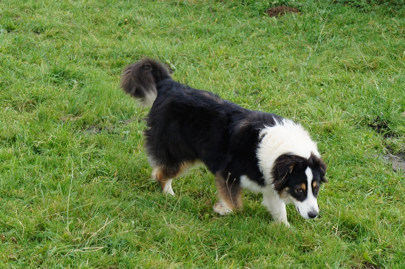 Oxane (Sans Affixe)